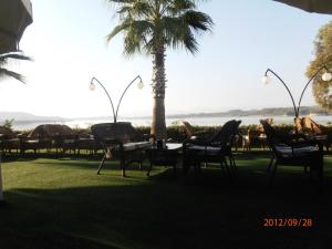 419456_290421197731255_1123052754_n