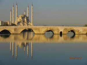 65080_309859852454056_1731244484_n