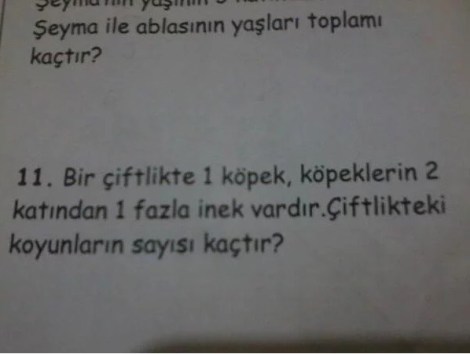 Образование в Турции