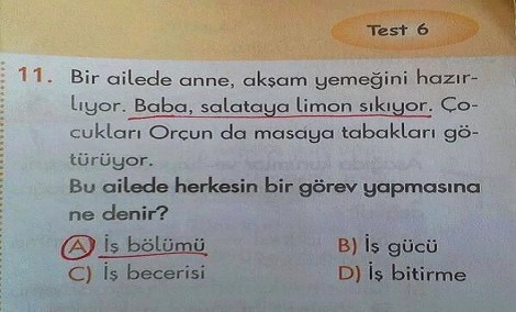 Образование в Турции