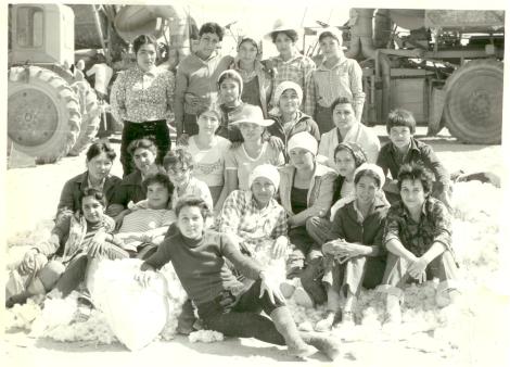 На сборе хлопка в Марыйской области Туркменистан