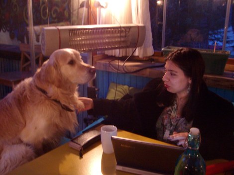 Кафе Веганка