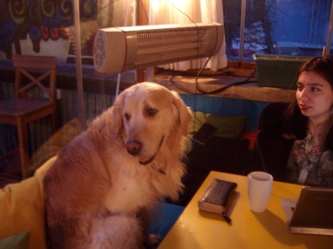 Кафе Веганка